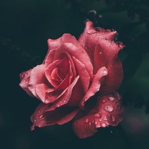 Meet your Posher, Kendra